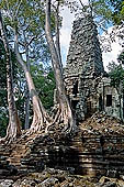 Angkor Thom - Prah Palilay temple surrounded by trees